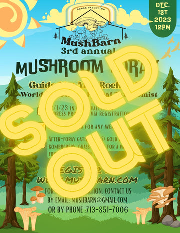 12.1.23 Mushroom Foray - 3rd annual Guided Mushroom Hike