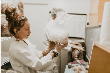Consultation with Stephanie, CEO & Director of Mycology