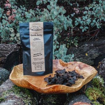 Mushroom Jerky - BBQ