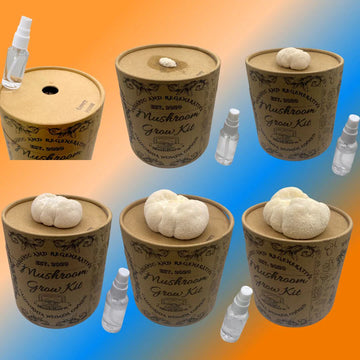 Mushroom Grow Kit Instructions