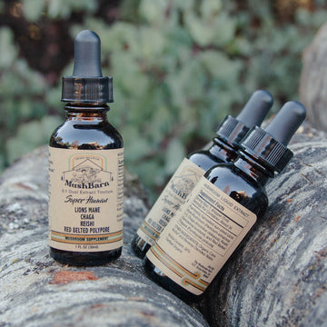 Mushroom Tincture in the Winter