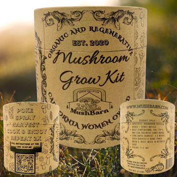 Mushroom Grow kit - Blue Oyster