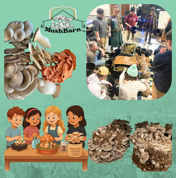 Kids Mushroom Workshop: May 30, 2026 @ 4pm