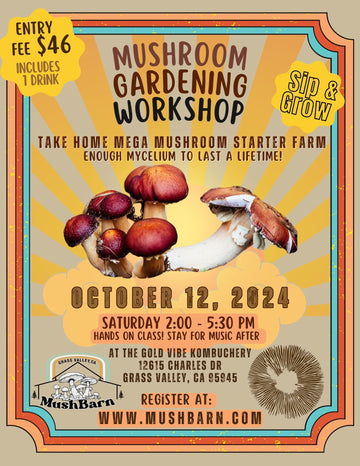 Mushroom Gardening Workshop 10.12.24 at Gold Vibe Kombuchery