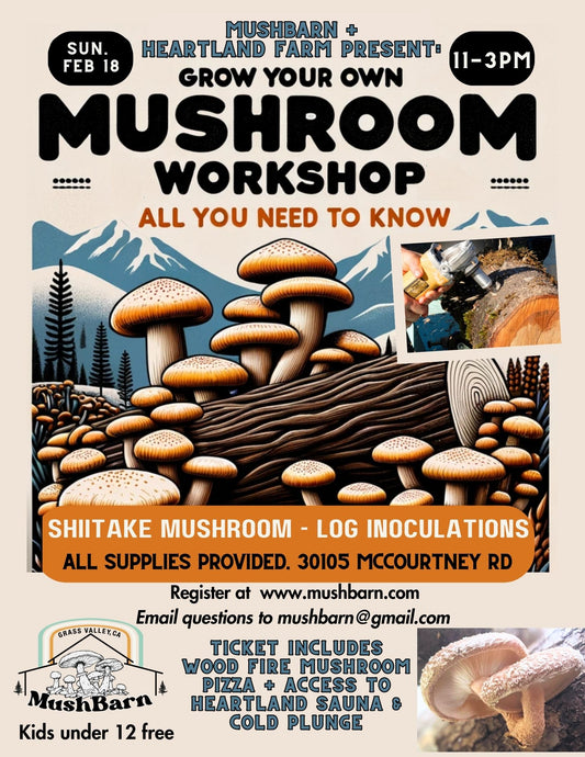 2.18.24 Mushroom Workshop - Shiitake Log Inoculation - at Heartland Collective