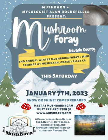 1.7.23 Winter Mushroom Foray! MushBarn x Alan Rockefeller