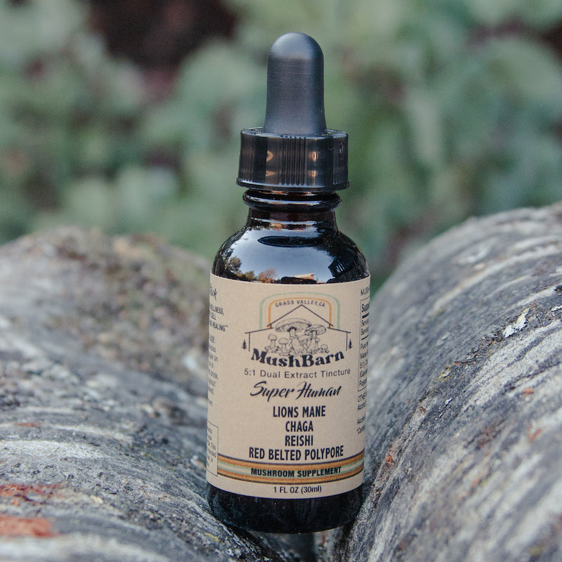 Super Stack Mushroom Tincture